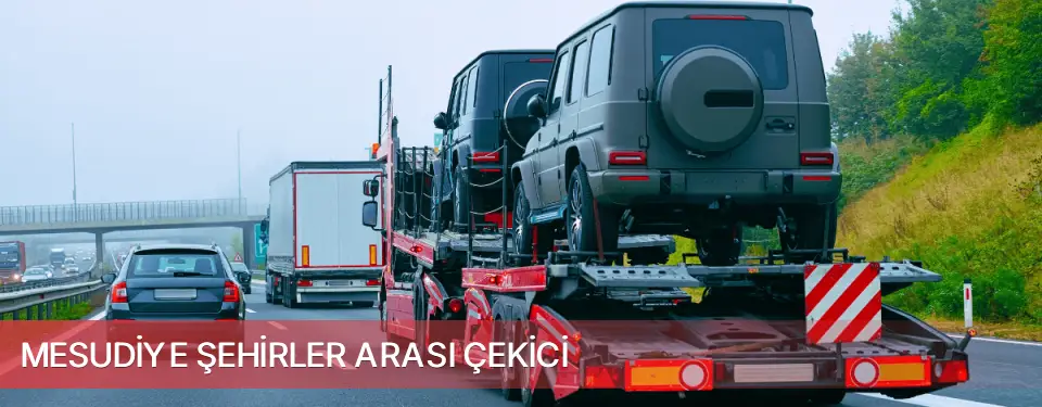 Mesudiye İlçemi Şehirler Arası Çekici