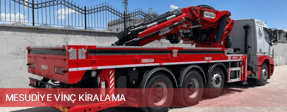 Mesudiye İlçemi Vinç Kiralama